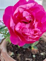 20220103_131744.jpg