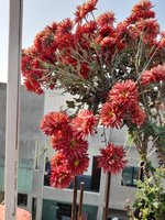 20220103_131822.jpg