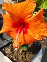 20220103_131906.jpg