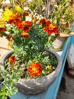 20220103_131921.jpg