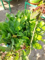 20220103_132027.jpg