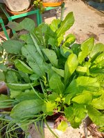 20220103_132032.jpg