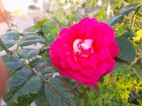 20220105_073813.jpg
