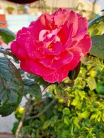 20220105_073824.jpg