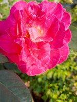 20220106_091013.jpg