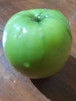 20220109_175301.jpg
