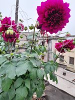 20220114_142242.jpg