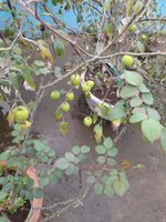 20220114_142429.jpg