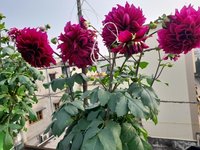 20220116_100129.jpg