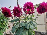 20220116_100135.jpg