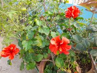 20220116_100209.jpg