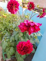 20220116_100313.jpg