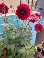 20220116_100337.jpg