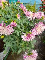 20220116_100347.jpg