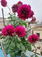 20220123_110332.jpg