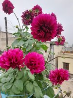 20220123_110339.jpg