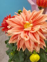 20220123_111005.jpg
