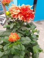 20220123_111041.jpg