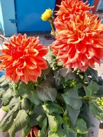 20220127_144643.jpg