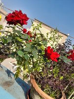 20220127_144720.jpg