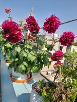 20220130_113345.jpg