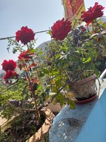 20220130_113423.jpg