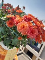 20220130_113530.jpg