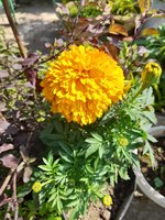 20220130_113558.jpg