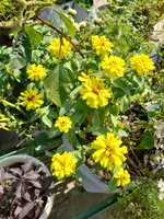 20220130_113603.jpg