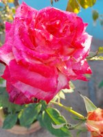 20220206_075858.jpg