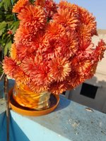 20220206_075947.jpg