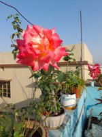 20220206_080013.jpg