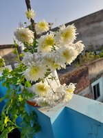 20220206_080114.jpg