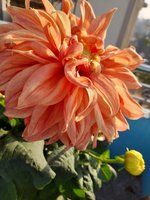 20220206_080209.jpg