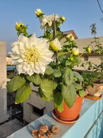 20220223_072656.jpg