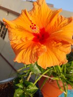 20220223_072719.jpg
