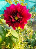 20220223_072816.jpg