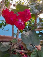 20220223_072905.jpg