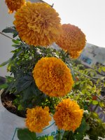 20220223_072931.jpg