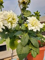 20220227_090134.jpg