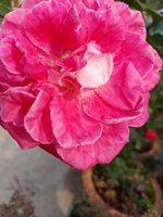 20220227_090307.jpg