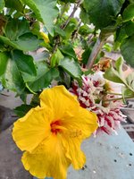 20220227_090328.jpg