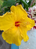 20220227_090331.jpg