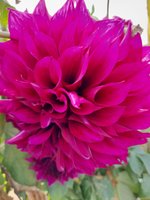 20220227_090358.jpg