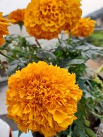 20220227_090445.jpg