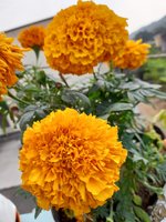 20220227_090448.jpg