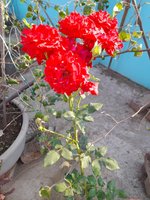 20220304_075731.jpg