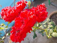 20220304_075750.jpg