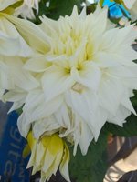 20220304_075841.jpg