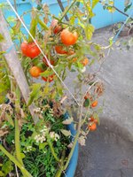 20220304_075935.jpg